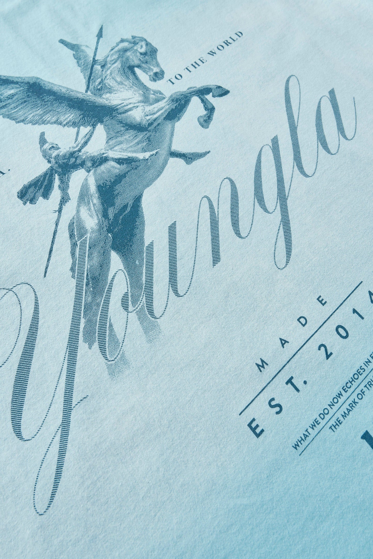 4118 -  Warrior Tees